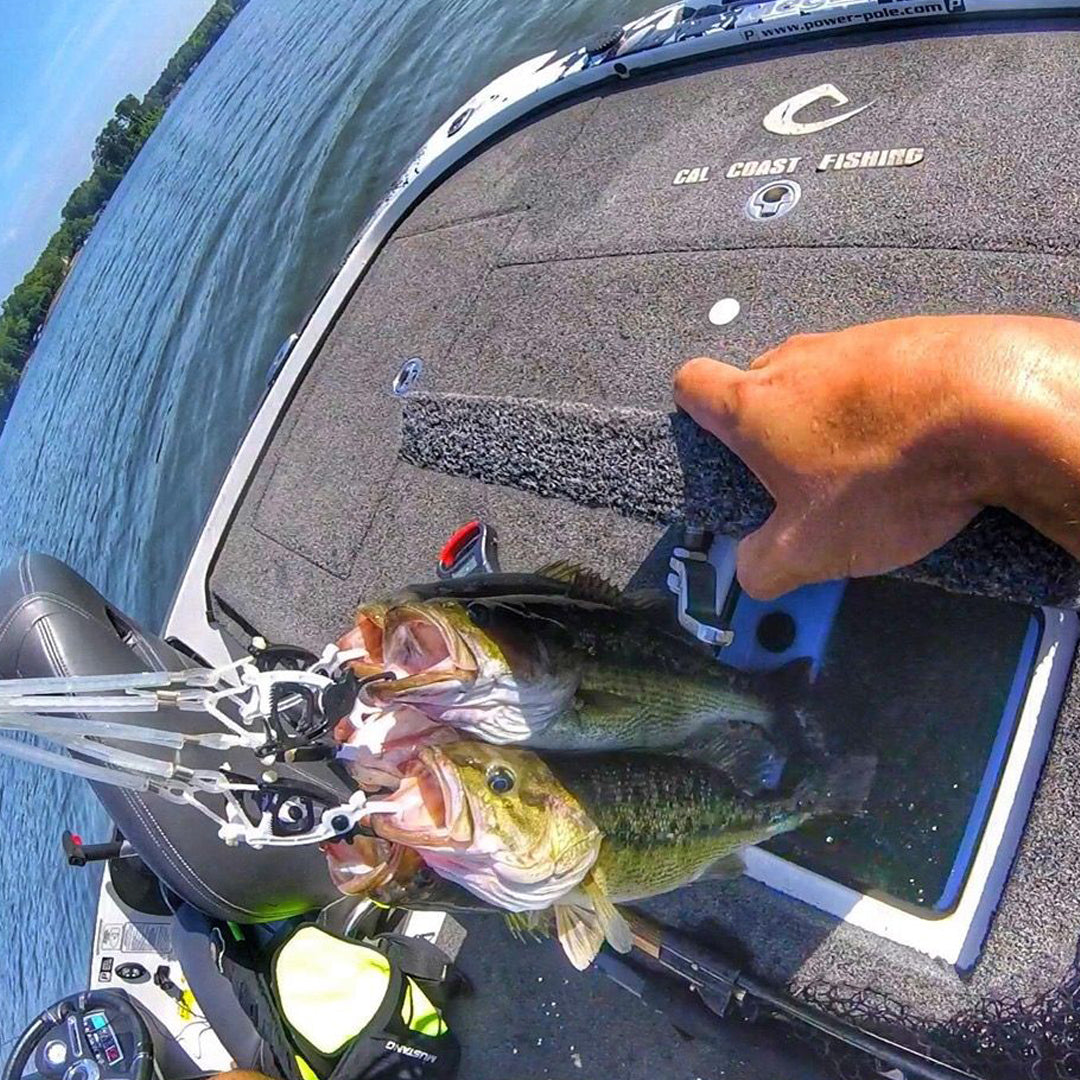 Cal Coast Fishing Clip-N-Cull 2.0 Premium Puncture Free Culling System